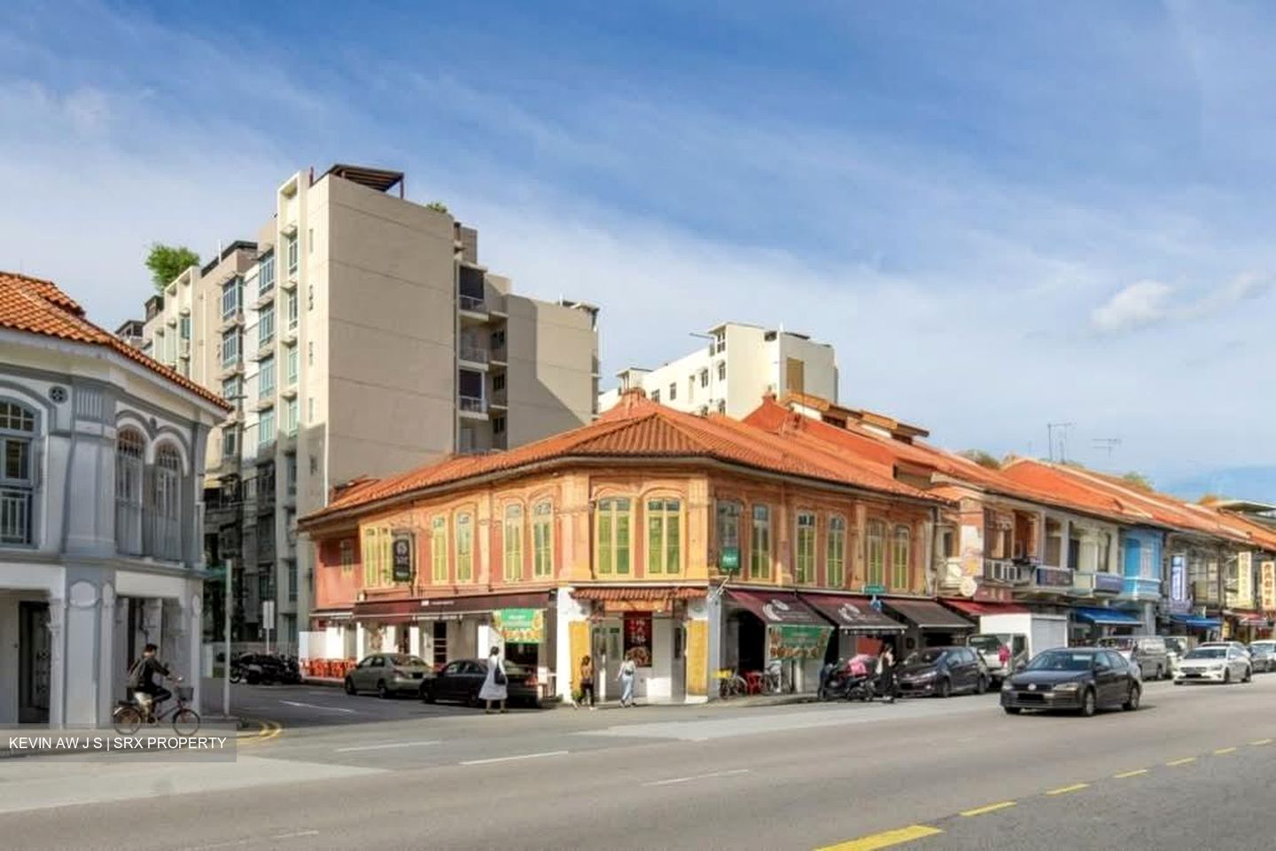 Geylang Conservation Area (D14), Shop House #559846611